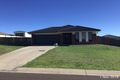 Property photo of 7 Colbar Street Pittsworth QLD 4356