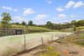 Property photo of 354 Bridgman Road Wattle Ponds NSW 2330