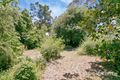Property photo of 1 Abbotshall Road Hawthorn SA 5062