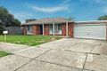 Property photo of 11 Peebles Street Endeavour Hills VIC 3802