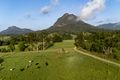 Property photo of 63 Mount Coxcomb Road Upper Lansdowne NSW 2430