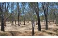 Property photo of 7 Grant Court Cobram VIC 3644