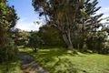 Property photo of 16 Trafalgar Street Bronte NSW 2024