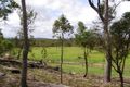 Property photo of 150 Whiteman Creek Road The Whiteman NSW 2460