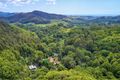 Property photo of 110 Pimble Valley Road Crabbes Creek NSW 2483