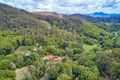 Property photo of 110 Pimble Valley Road Crabbes Creek NSW 2483