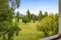 Property photo of 17 Satur Road Scone NSW 2337