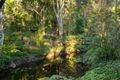 Property photo of 141 Cedar Creek Road Closeburn QLD 4520