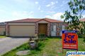 Property photo of 4 Starshine Street Meadowbrook QLD 4131