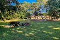 Property photo of 21 Dotterell Drive Bli Bli QLD 4560