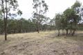 Property photo of 39 Old Shirley Road Beaufort VIC 3373