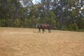 Property photo of 276 Chalwell Road Carlotta WA 6275