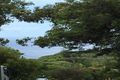 Property photo of 60 Beachview Esplanade Macmasters Beach NSW 2251