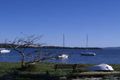 Property photo of 36 Albert Street Taylors Beach NSW 2316