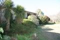 Property photo of 136 Ophir Road Orange NSW 2800