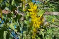Property photo of 305 Brougham Road Fly Creek NT 0822