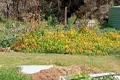 Property photo of 6 Ellen Street Brunswick WA 6224