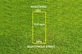 Property photo of 4 Bluetongue Street Melonba NSW 2765