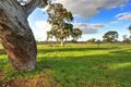 Property photo of 13 Mango Crescent Mernda VIC 3754