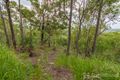 Property photo of 323 Mooloolah Road Eudlo QLD 4554