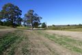 Property photo of 24 Monaro Street Pambula NSW 2549