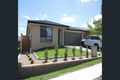 Property photo of 11 Torbreck Street Minto NSW 2566