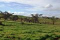 Property photo of 25 Hazelton Place Murringo NSW 2586