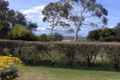 Property photo of 19 Rudd Avenue Orford TAS 7190