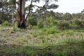 Property photo of 1 Ross Court Denmark WA 6333