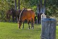 Property photo of 44 Bennett Road Kobble Creek QLD 4520