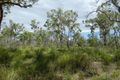 Property photo of 333 Whytallabah Road Euleilah QLD 4674