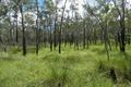 Property photo of 333 Whytallabah Road Euleilah QLD 4674