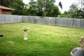 Property photo of 7 Bowerbird Close Doolandella QLD 4077