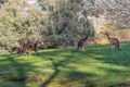 Property photo of 25 Heritage Drive Roleystone WA 6111