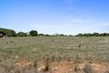 Property photo of 12 Fourth Street Curramulka SA 5580