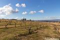Property photo of 489 Conrod Straight Mount Panorama NSW 2795