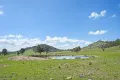 Property photo of Goolma Road Gulgong NSW 2852