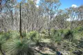 Property photo of Goolma Road Gulgong NSW 2852