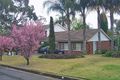 Property photo of 19 Nottingham Avenue Castle Hill NSW 2154