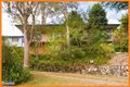 Property photo of 17 Hall Street Alderley QLD 4051