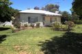 Property photo of 24 Belar Street Dareton NSW 2717