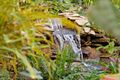 Property photo of 6 Lenori Road Gooseberry Hill WA 6076
