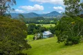 Property photo of 198 Bow Hill Road Dollys Flat NSW 2429