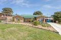 Property photo of 6 Nolan Court Darling Heights QLD 4350