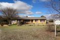 Property photo of 5196 Werris Creek Road Warral NSW 2340