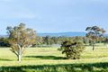 Property photo of 370 Kondoparinga Road Meadows SA 5201