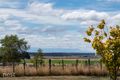 Property photo of 87 Five Acre Row Westbury TAS 7303