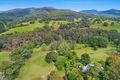 Property photo of 807 Tallebudgera Creek Road Tallebudgera Valley QLD 4228