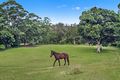 Property photo of 807 Tallebudgera Creek Road Tallebudgera Valley QLD 4228