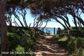 Property photo of 33 Eighth Avenue Anglesea VIC 3230